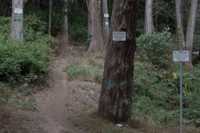 ��������� ��������