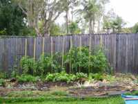 ������ ����� �������� ����