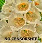 ����� 5 ������� ����