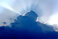 ����� ����� ���������