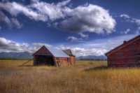 ����� ������