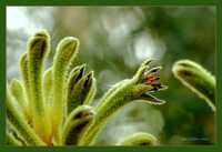 ����� ���������� ������