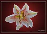 ����� �� ������ ������