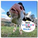 ����� ��� �������� ��� ���������