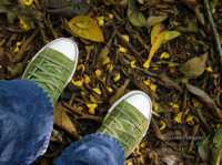 ����� ��� ��������