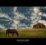 ����� ��������� �����