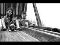 ���� �������� ��������