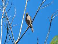 ��� �������� �� 34 ��