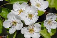 ��� �������� ��������� �������