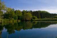 ��� �������� ������ ����