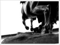 леди гага похудела