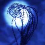 photoshop ��������