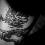 ������� �� 186 ��