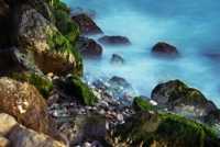 �������� �� 20 ��