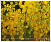 �������� ����� 30 ���