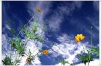 �������� � ������� ����� ������