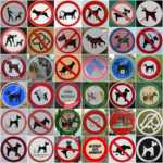 ����� ����� ��������