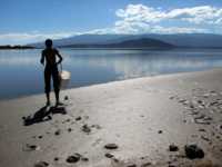 ����� ����������� ������ ��������