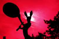 ������� ������� ����� ����� ��������