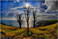 ��������� ��������