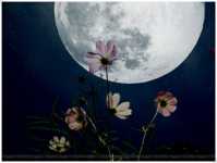 � �������� �� ��������� �����