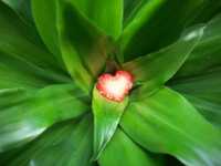 ����������� ����� ��� ����������