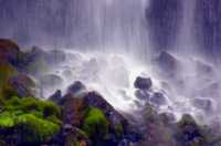 �������� ����� ��������